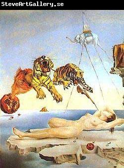 salvadore dali Dream Caused by the Flight of a Bee Around a Pomegranate a Second Before Awakening